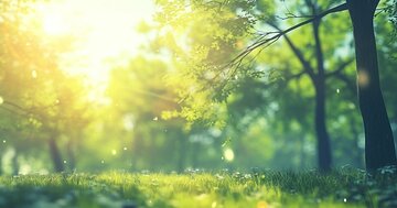 【神様が味方する人の習慣】「好ましい人間関係」でなかったものが「気」や「念」を入れることで、好ましい状態に変わるらしい