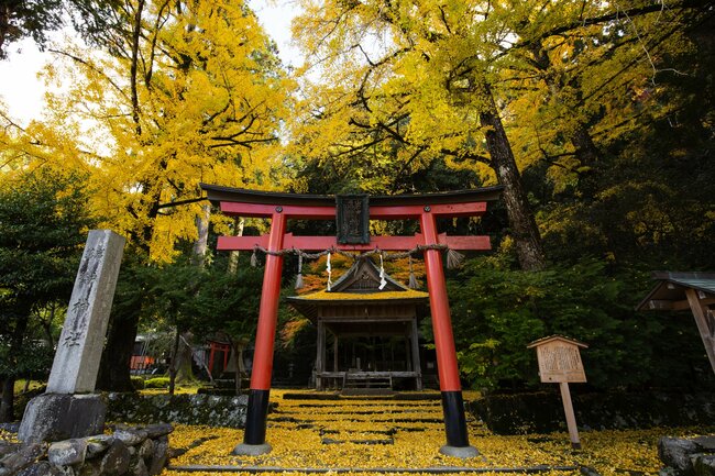 岩戸落葉神社