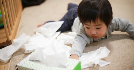 【てぃ先生が答える】しつけは何歳からすればいいですか？