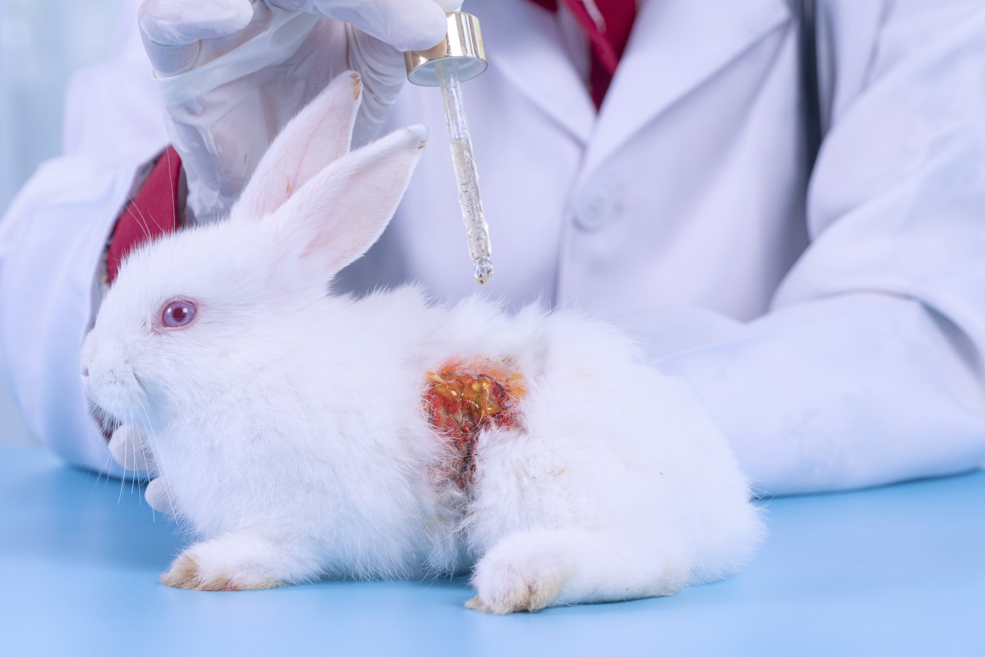 動物実験から実用化される治療法はわずか5%、122の論文から分かった“不都合な真実”
