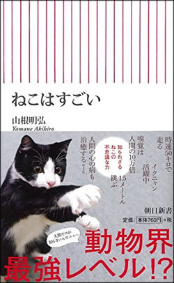 時速50キロ ネコを見くびってはいけニャイ理由 From Aeradot ダイヤモンド オンライン
