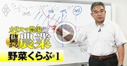 カリスマ農家No.1が直伝、「30年で売り上げ250倍」を実現した5つのポイント【動画】