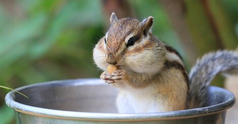 人間は「冬眠」できるのか？2カ月も飲まず食わずで生存した衝撃ケース