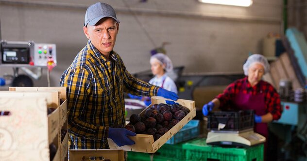そりゃGDP抜かれるわ…日本とドイツの中小企業を比べて分かった“決定的な違い”