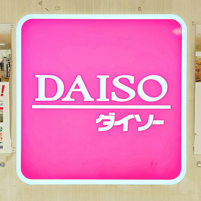 ミニ財布にちょうどいい…！ダイソーの「お札が入るキーケース」カードが10枚も収納できて天才すぎる！《購入レビュー》