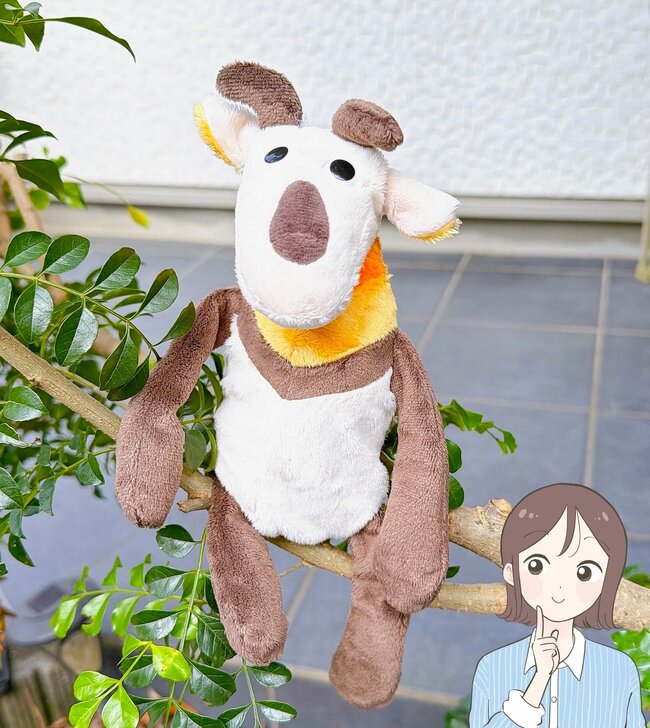 「待ってました、再入荷！」「とても可愛いです」カルディの“ぬいぐるみになるエコバッグ”毎日連れて歩きたい可愛さ…！《購入レビュー》