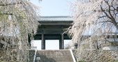 芥川龍之介『羅生門』が描いた「正義への居直り」の危うさとは?