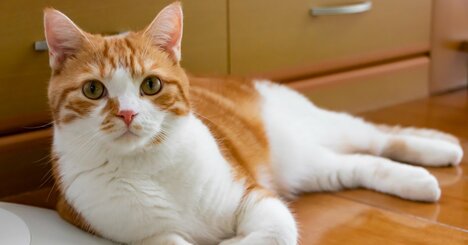 どんな相手も和ませる「メールの締めくくり」の簡単テクニック