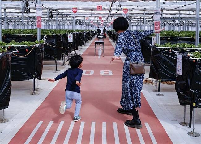 子連れ旅行「ホテル選び」の極意7箇条、旅行ライターの実践テクを伝授