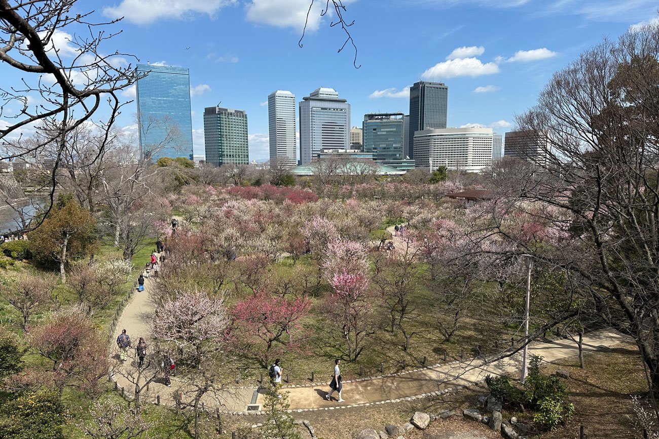 今回のテストコースのスタート地点に選んだ大阪城公園の梅林