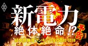 新電力業界の「新境地」、事業撤退・値上げ・客切り…大嵐を乗り越えたどり着いた先は？