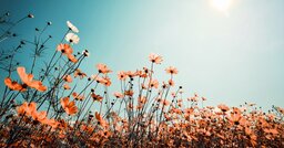 「人生で後回しにしないほうがいいこと」・ベスト3