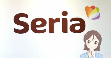 カードや診察券が30枚も入った…！セリアの「ミニチュアみたいなファイル」がミニ財布代わりになって天才！【購入レビュー】