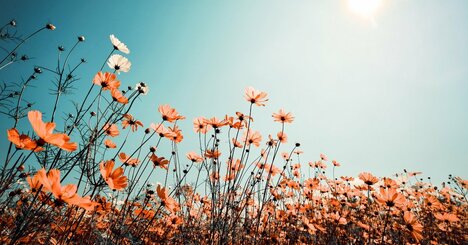 「人生で後回しにしないほうがいいこと」・ベスト3