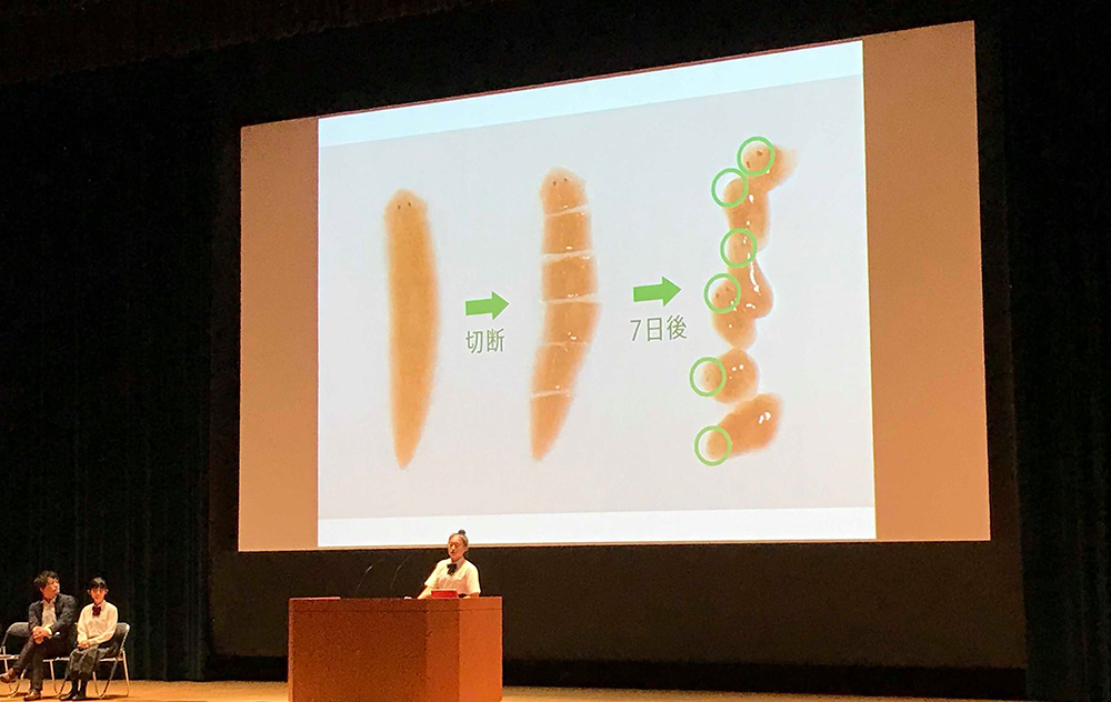 「50mを走る速さとお年玉の額の因果関係は?」小学生から始めたい探究の学び