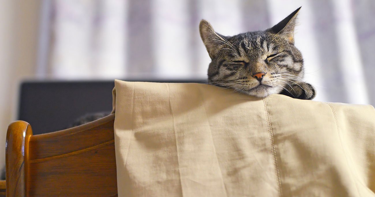 定年後、65歳を超えてもマイペースで続けやすい仕事とは？ データで解説