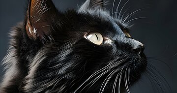 【今すぐやめて】やるごとに「人生がムダ」になる悪習・ワースト1