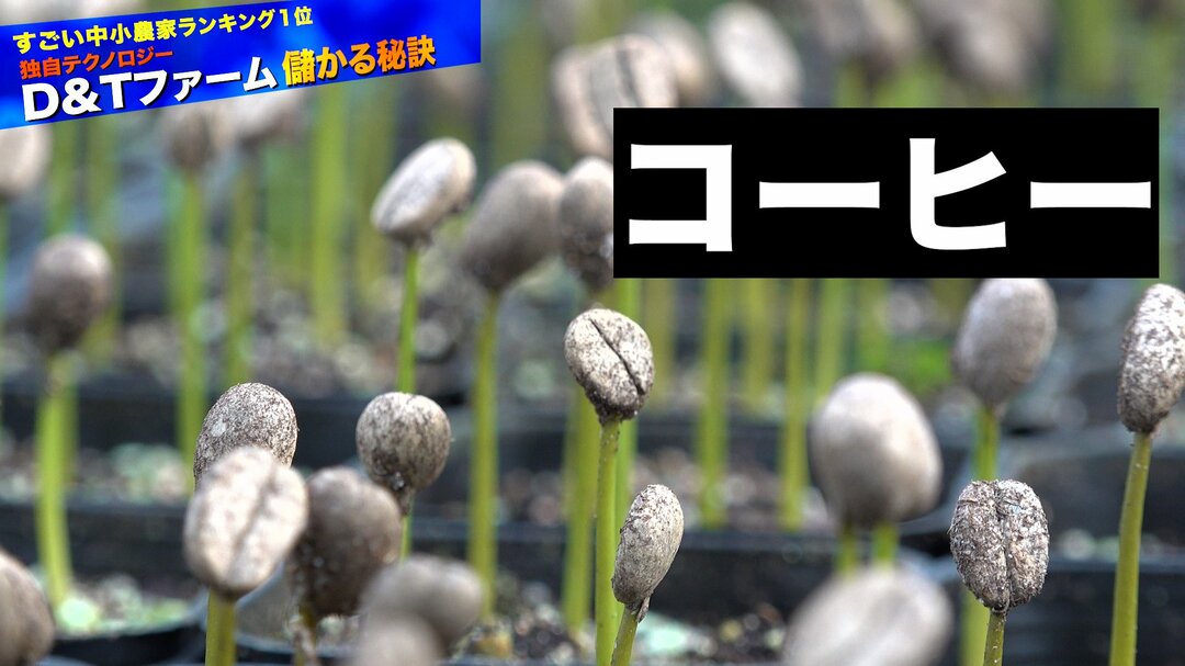 儲かる農業#7-4