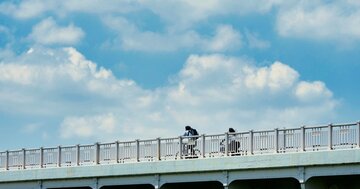 幼少期からの習い事…中学受験の塾代…。莫大な教育費をかけないと「学歴」は手に入らない時代になってしまったのか