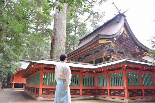 鹿島神宮の御神木