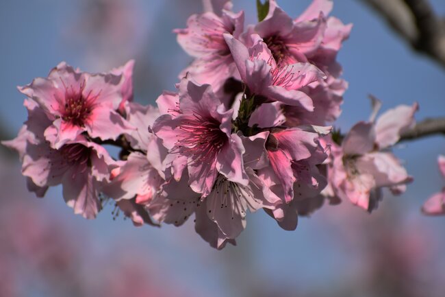 【眼科医が警告】40代から要注意な〈見え方〉の異変「夕方になると見えにくい」「明るいところがまぶしい」…他には？