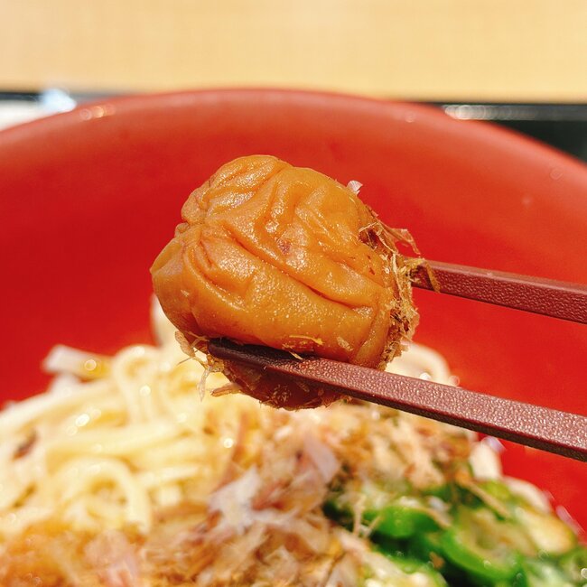 「無限に食べられる」なか卯の“てんこ盛り限定メニュー”暑い日に何度も食べたくなる！「二日連続で食べた」「超超超うまい」【実食レビュー】