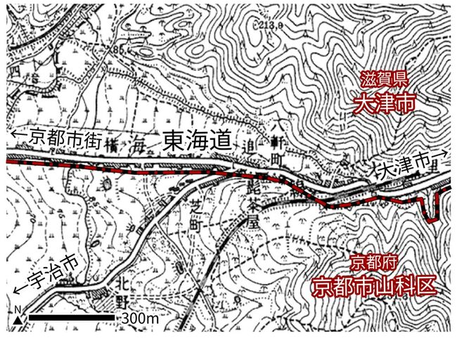 人はなぜ無意識に「Y字路」を作るのか？「専門家」の解説が面白すぎた！【写真多数】