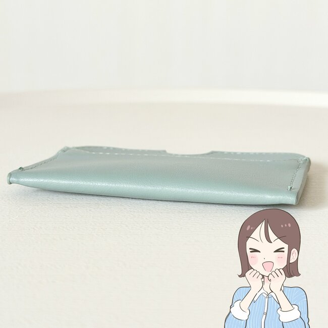 まとめ買いしてよかった!3COINSの「高見えカードケース」薄いのに9枚も入って使い勝手バツグン!《購入レビュー》