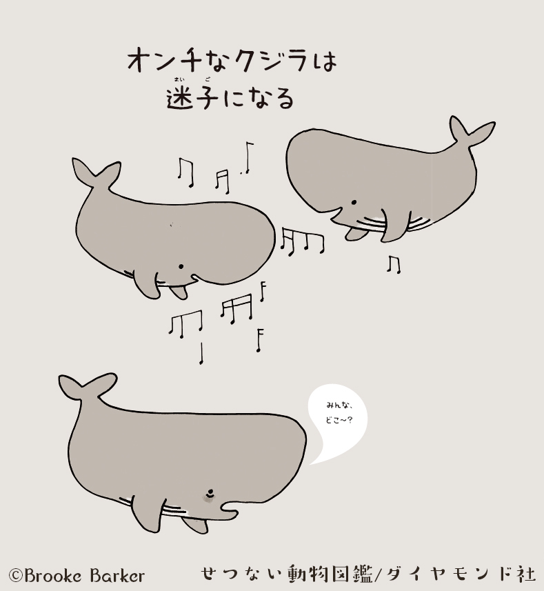 ○○が苦手なクジラは、迷子になる