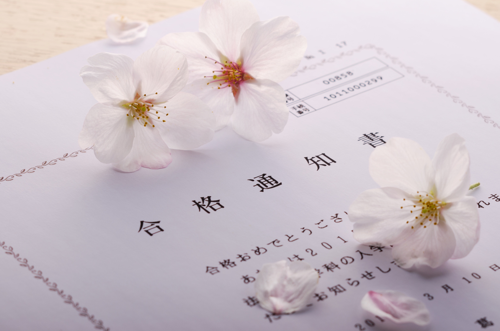 小論文受験者の5割以上が「このミス」で落とされる!