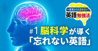 英語」日本一やさしい勉強法を伝授、何歳でもできて一度覚えたら忘れ