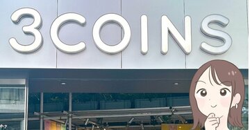 「このお値段は安い！」3COINSの“カフェ風お弁当箱”が330円とは思えないオシャレさ！「理想的なモノに出会いました」「木目調も可愛らしいです」