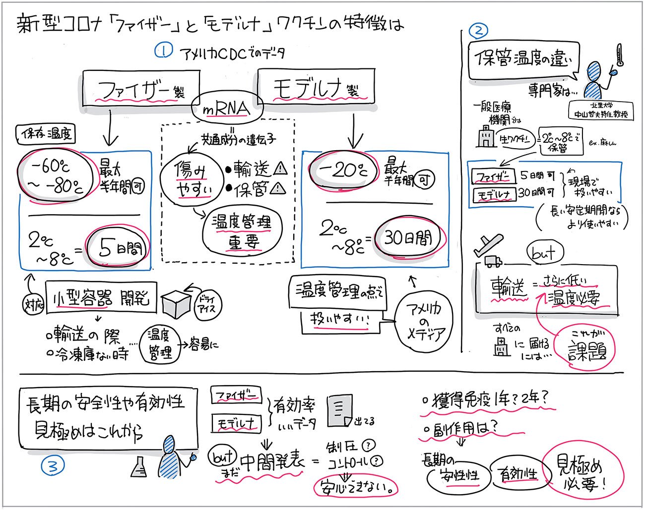 新型コロナ「ファイザー」と「モデルナ」ワクチンの特徴を“1枚の図”にまとめた!
