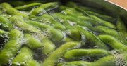 良質なたんぱく質がぎっしり！ 手軽に食べられて栄養満点の今が旬の野菜とは