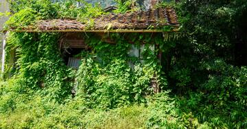 こんなハズじゃなかった…廃屋に100人の相続人「負動産」トラブルを防ぐ2つの対策とは?