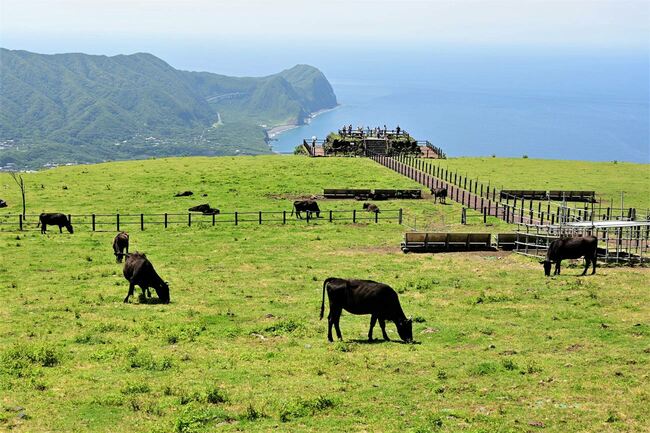 物価高でも無問題！夏休みに行きたい「コスパ最高」な国内島旅のススメ