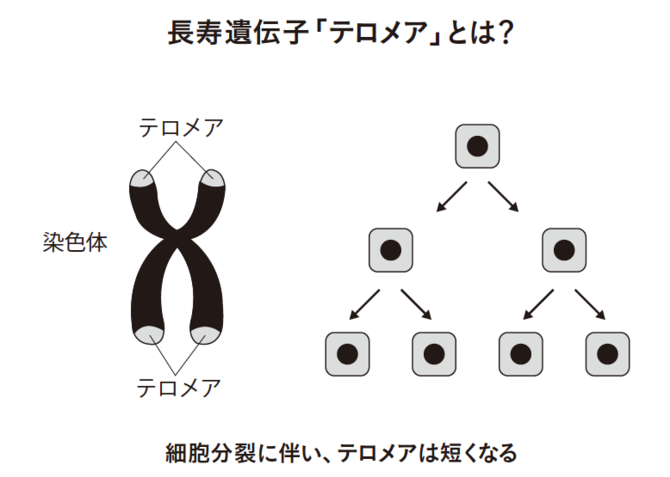 世界 たい 受け 授業 一 ビセラ