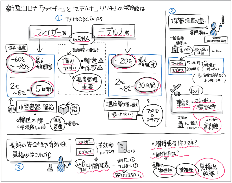 新型コロナ「ファイザー」と「モデルナ」ワクチンの特徴を“1枚の図”にまとめた！