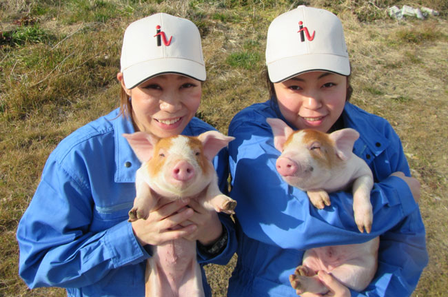 豚肉の生産・販売を行う株式会社ヒラノでは、HRテックを導入して良い豚を育て経営改善に成功している
