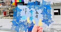 埼玉が最高だ！最強パワスポ神社を巡り、絶品うどんとサウナを楽しむ小さな旅