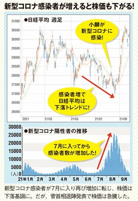 株価はコロナ感染者数に連動！