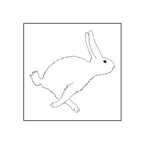 ウサギをアヒルに変えるには？