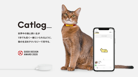 7億件の猫の行動データを収集した見守りデバイス「Catlog」、開発元が6億円の資金調達