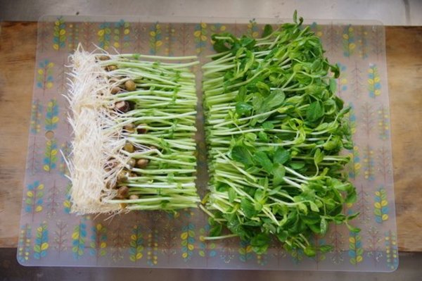 63feu8sofjr Om 63feu8sofjr Om