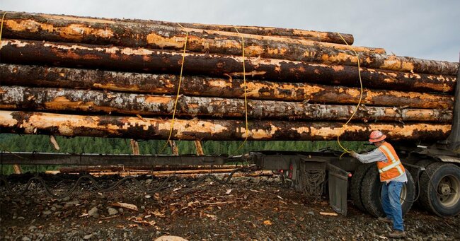 木材をはじめ商品価格は足元、大きく下落している