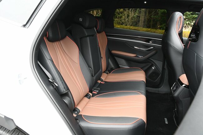 BYDシーライオン6座席シート（2）