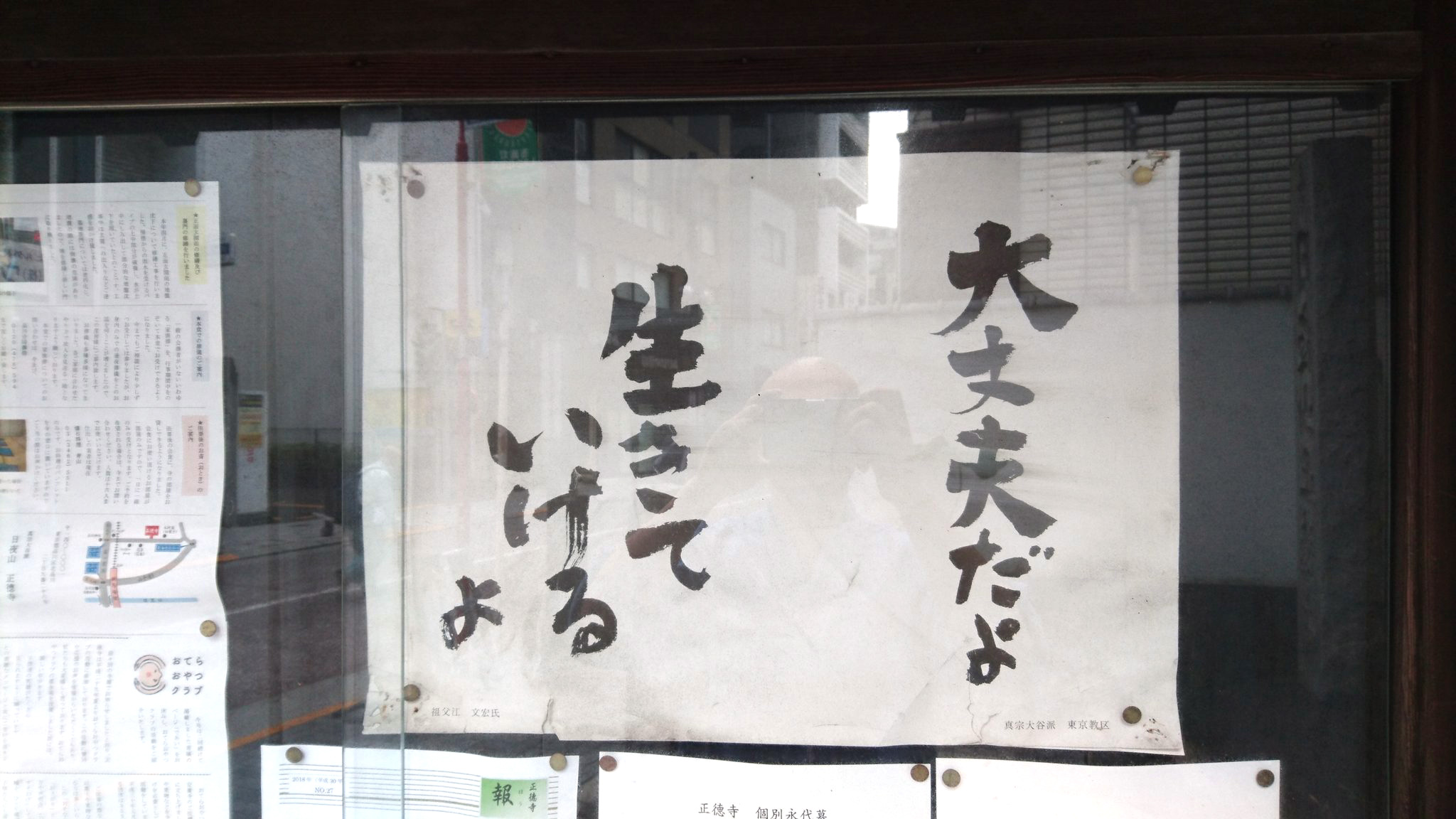 【お寺の掲示板の深い言葉 29】「大丈夫だよ 生きていけるよ」