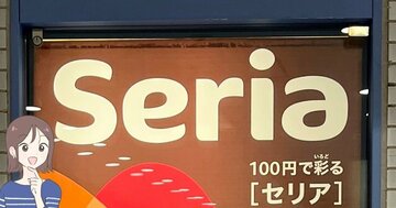 ミニ財布はこれでいいじゃん…！セリアで見つけた「迷子にならないポーチ」透け感がかわいいし、ガバッと開いて使いやすい！