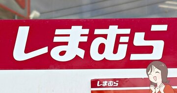 【しまむら】カードや診察券が35枚入った！ミニ財布になる「高見えショルダー」荷物が迷子になりにくい！《購入レビュー》