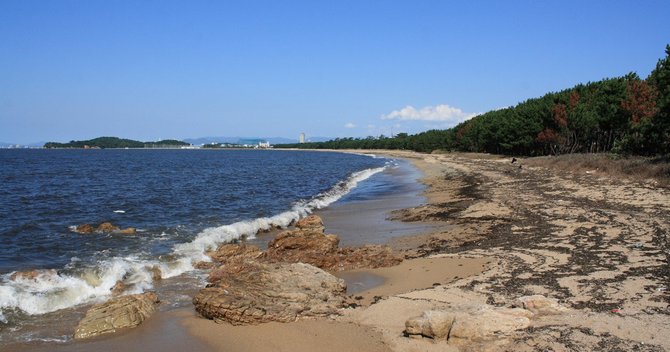 なぜモンゴル帝国は日本を攻めたのか、「英雄」北条時宗の失敗